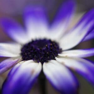 Aromatherapie