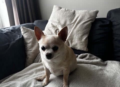 Zoë is blind geworden